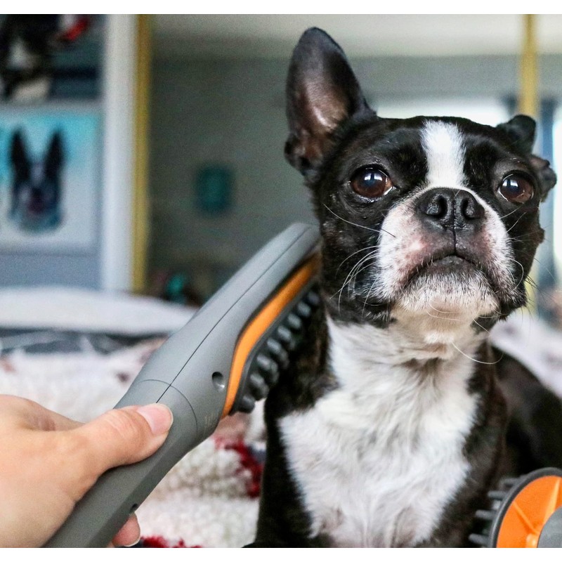 PAW WAVE Buzz Therapeutic Brush Vibration Pet Massager for Dogs