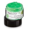 Matcha Fresh Cream 50 ml