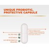 Align Probiotic Supplement 14 Count (packaging May Vary)