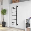 Wall/Floor-Mounted Bunk Bed Ladder, Basement Window Well Egress Ladder, Metal