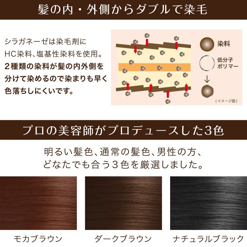 Treatment Hair Dye, Silaganese Point Rich Color EX, Partial Gray