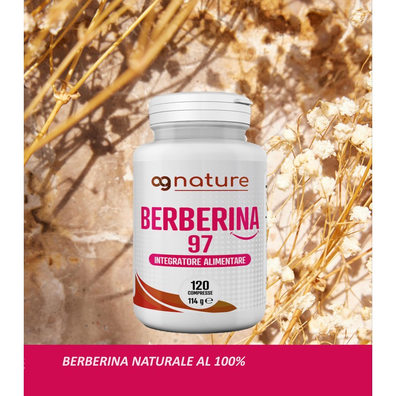 AG nature Berberina HCL 500 mg 120 Tablets - Natural