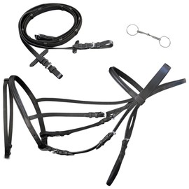 Flash Bridle with Reins and Bit Leather Black Pony Sporting Goods,Outdoor Recreation,Equestrian,Horse Tack,Bridles Black 0,8 LBS