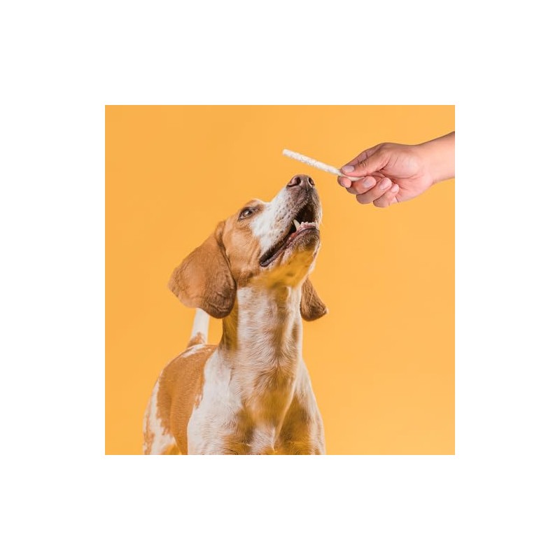 Fancy Pets Palitos de Carnaza de Res Sabor Natural para