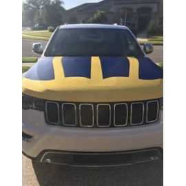 Michigan Wolverines “wings” - Auto Hood Cover - NEW - great for tailgating