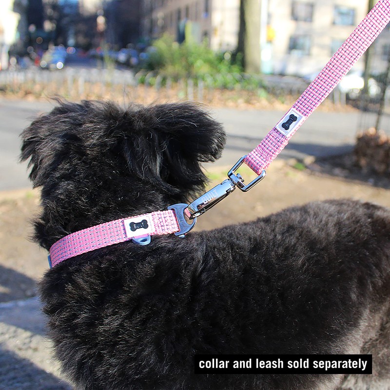BUILT Pet Nightsafe Dog Collar
