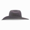 Resistol Hooey Grey 4X Day Money Hat 7.58