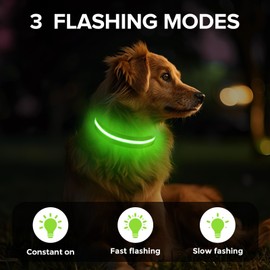 Led Dog Collar for Night Walking,Rechargeable Light Up Dog Collar Led Color,Glow in The Dark Dog Collars Waterproof for Small Medium Large Dogs (Green, Large)