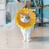 SLSON Cute Sunflower Dog Cat Collars Yellow (M)