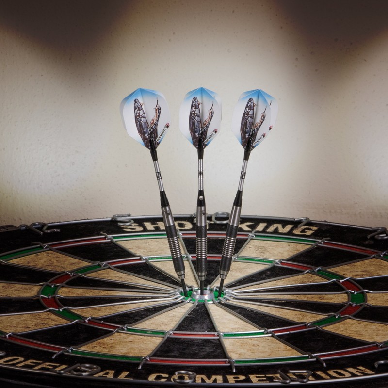 Elkadart Black Mamba 80% Tungsten Steel Tip Darts with Storage/Travel