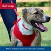 Coastal Pet Single-Ply Dog Leash - Sturdy Pet Leash -