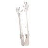 Stainless Steel Eagle Claw Ice Tongs Prevents Slipping Ice Cubes