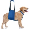 Adjustable Dog Lift Harness with Fixing Strap — Dog Lift