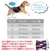 Feather Store Dog Manor Belt, 3-piece Set, Male, Mesh Lining,