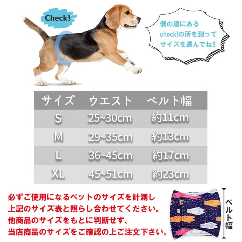 Feather Store Dog Manor Belt, 3-piece Set, Male, Mesh Lining,