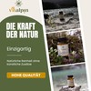 Vitalpin Natural Products - Selenium Capsules 200 μg High Dose