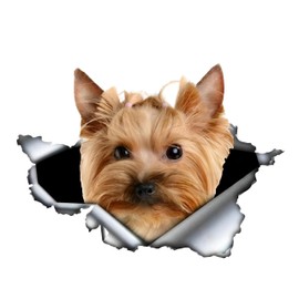 Car Sticker Yorkshire Terrier Sticker 18 cm (7.1 Inch) Yorkshire Terrier Car Sticker 3D Ripped Car Sticker Yorkshire Terrier Reflective Waterproof Sticker Bumper Funny Decor