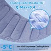 PAIGTEK Cooling Mat for Large Dogs - Double-Sided Waterproof &