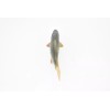 Deshen Du Salmon, King, Chinook, Fish Toy, Realistic Rubber Model,
