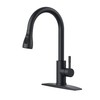 FORIOUS Black Kitchen Faucet with Pull Down Sprayer, High Arc
