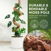 Auraville Moss Pole Monstera Plant Support | 48 Inch Plant