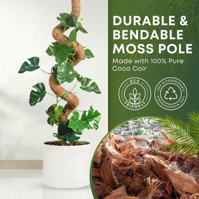 Auraville Moss Pole Monstera Plant Support | 48 Inch Plant