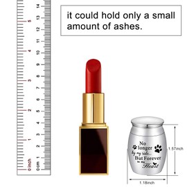 XIUDA Pet Memorial Small Urns for Dog and Cat Ashes, 1.57 inches Mini Stainless Steel Cremation Urn, Pet Paw Print Keepsake Urn for Ashes - No Longer by My Side Forever in My Heart