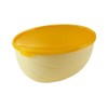 Snips - Save Melon - Food Storage Container, Melon Saver