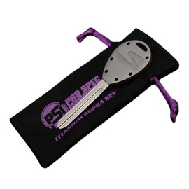 PRO SPEC IMPORTS - 'Frosted Titanium' Billet Titanium Key for Toyota A80 / MK4 Supra, Spare Key Blank, Keychain, OEM