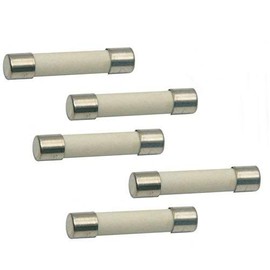 EXP25A Microwave 25A Ceramic Fuse, Fast Blow