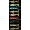Megabass X Layer Curly Lures 7 Eels (4/Pack)