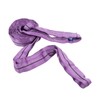 Lifting Sling Hoist Webbing 1T Polyester Rigging Strap Purple for
