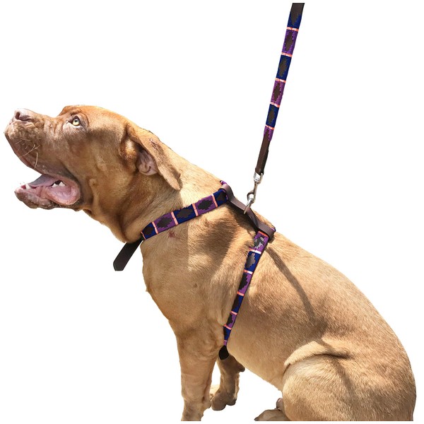 Carlos Diaz Genuine Leather Dog Harness and Lead Waxed Embroidered