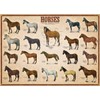 EuroGraphics Horses 1000 Piece Puzzle