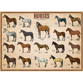 EuroGraphics Horses 1000 Piece Puzzle