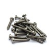 4.2mm x 25mm Torx/Hexalobular Pan Head Self Tapping Screw ISO14585