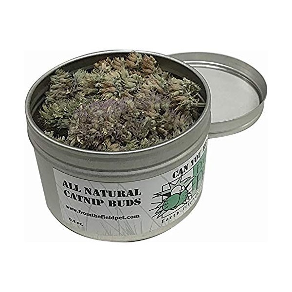 From The Field Can You Resist Catnip Buds, 0.4-Ounce