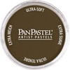 PanPastel Ultra Soft Artist Pastel 9Ml-Raw Umber