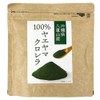 ヤエヤマクロレラ 100% 粉末 100g