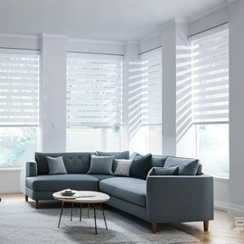 SUNWAY Blinds for Windows Dual Layer Zebra Roller Shades Light Filtering Sheer Window Treatments Privacy Light Control for Day and Night, 34" x 72", White