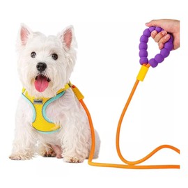 UNA MASCOTA Correa De Paseo para Perro Antiruptura (Naranja)