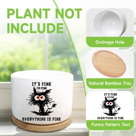 WSLCHOVE Funny Cat Lover Gifts Succulent Plant Pot, Ceramic Flower Cactus Planter Cat Themed, Office Desk Decor for Plant Lover, Gardener Gardening Gifts for Women Friend (Plants Not Included)