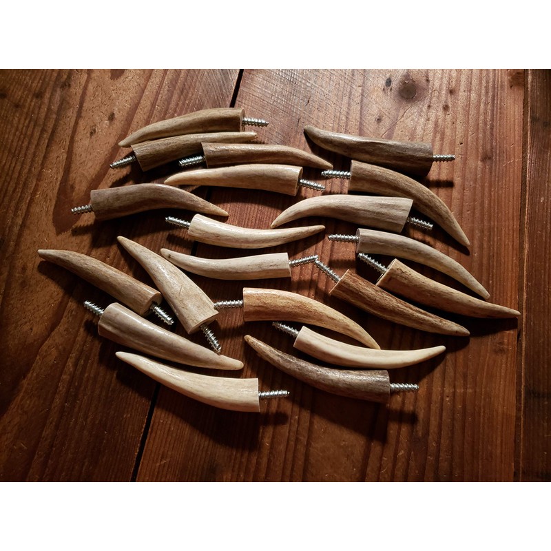 Real Antler Tip Wall Hooks Screw into Wood or Drywall