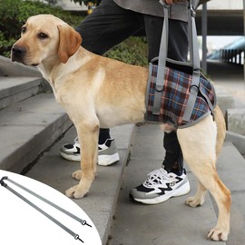 Carrying Aid, Dog Stairs, Dog Lift Harness, Mobility Aids, Carrying Aid Dog Rear Legs, Adjustable, Provides Support for Medium Older Dogs, Weak Legs, Surgery, Rehabilitation (XL