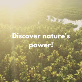 New Orleans Apothecary Pine Tar Salve | Skin Rash | Psoriasis | Eczema | Itchy Skin | Natural Balm - 4oz jar