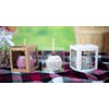 4x4x4 Caramel Apple Boxes (25 Boxes) | Clear Transparent Gift