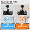 Rustic Ceiling Fans with Lights and Remote, Black Caged Ceiling