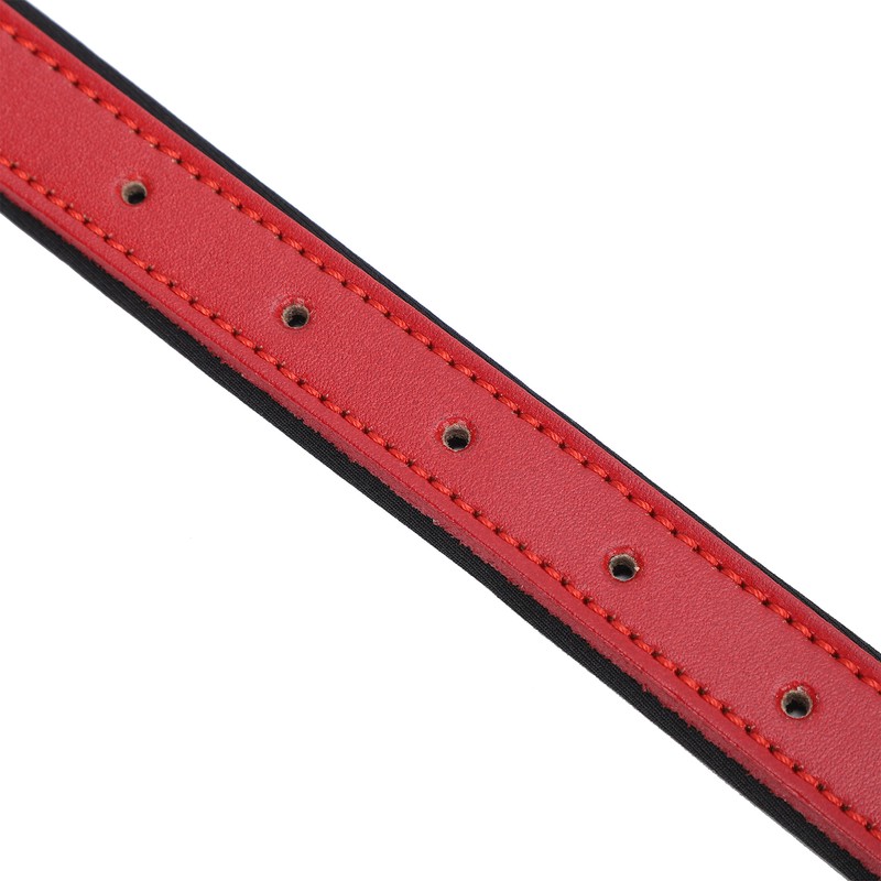 2pcs Pet Collar with Engraved Nameplate ID Tag Cowhide Padded