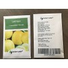 50 Lemon Cucumber Seeds | Non-GMO | Heirloom | Fresh