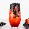 Berry Bubble Tea Kit | Fruit Boba Tea Set Includes